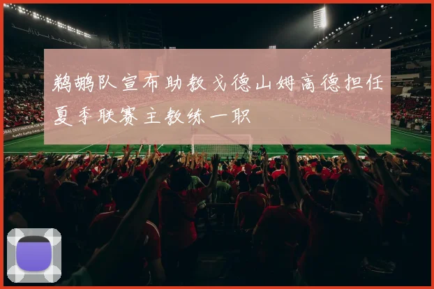 鹈鹕队宣布助教戈德山姆高德担任夏季联赛主教练一职
